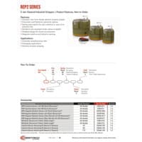 PDF preview for REP2 Series 2-Jaw Precision Cylindrical General Industrial Parallel Gripper - Catalog Pages - EN US