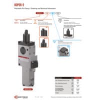 PDF preview for Pneumatic Pin Clamps, Pin Packages, Pivot Units - Catalog Section - EN US